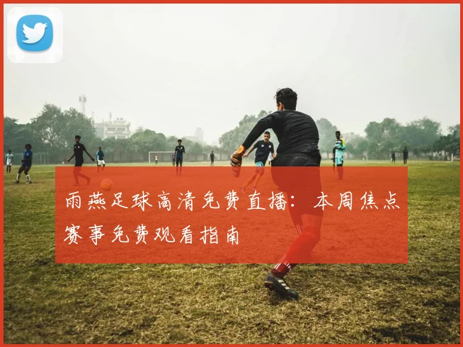 雨燕足球高清免费直播:本周焦点赛事免费观看指南